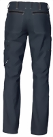 2008_890_anth-small.jpg