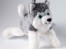 schluesselanh-husky-large.jpg