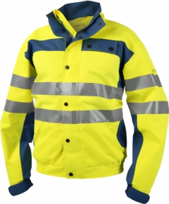 9675_gelb-blau-small.jpg