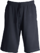 daytona-410-small.png