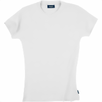2104-00-small.gif