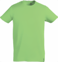 bao-339-small.png