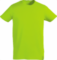 bao-364-small.png