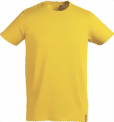 bao-532-small.png
