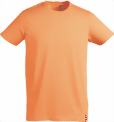 bao-534-small.png
