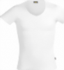 efia-01-small.png