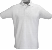 sam-43-large.png