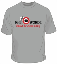 ig-bi-40-worde-small.jpg