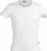 sally-01-small.png