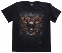skull-and-dragon2-small.jpg