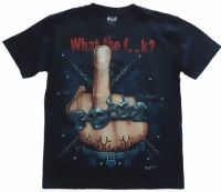 stinkfinger1-small.jpg